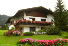 haushoor